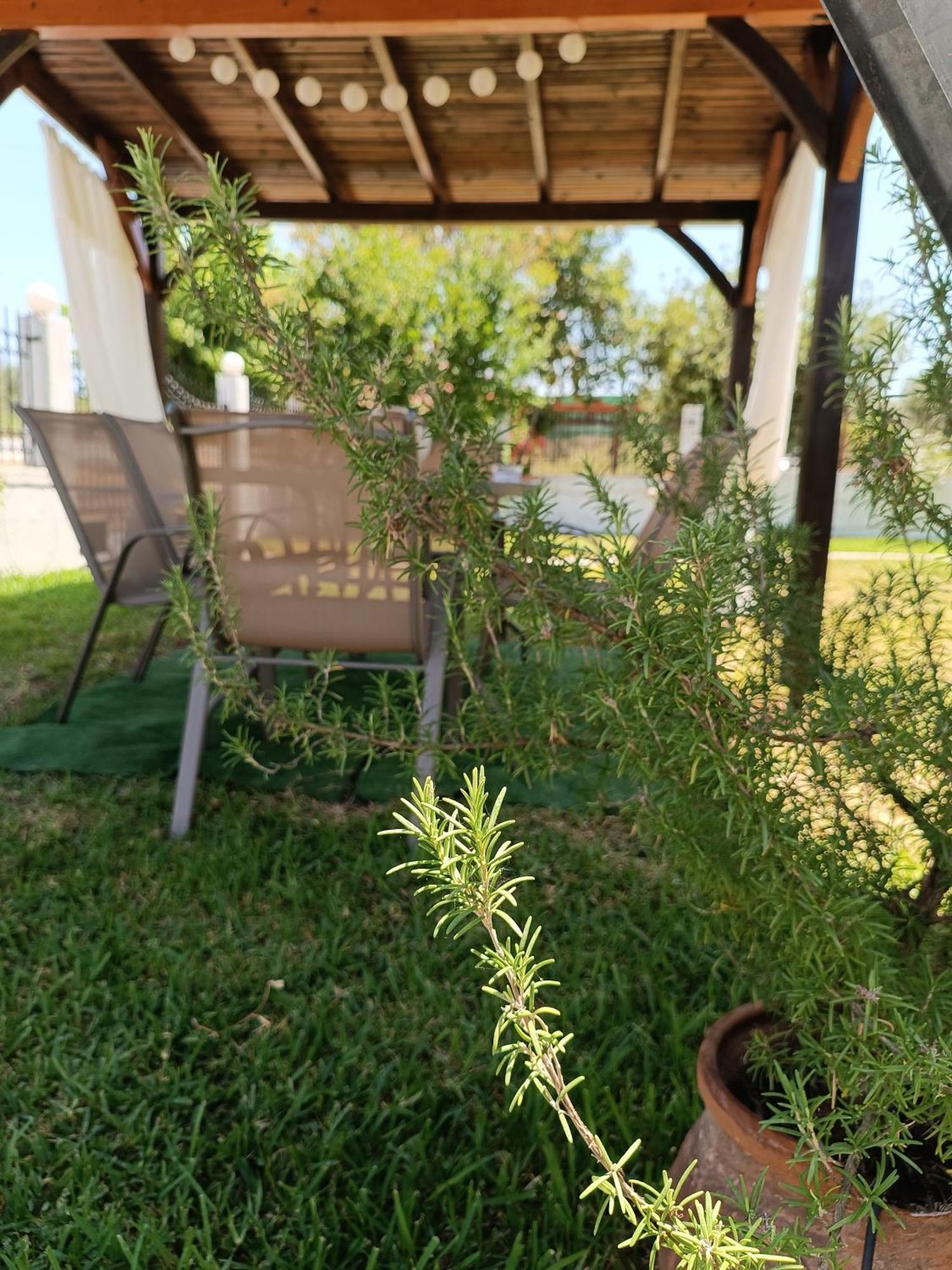 Evi's * Ormos Panagias